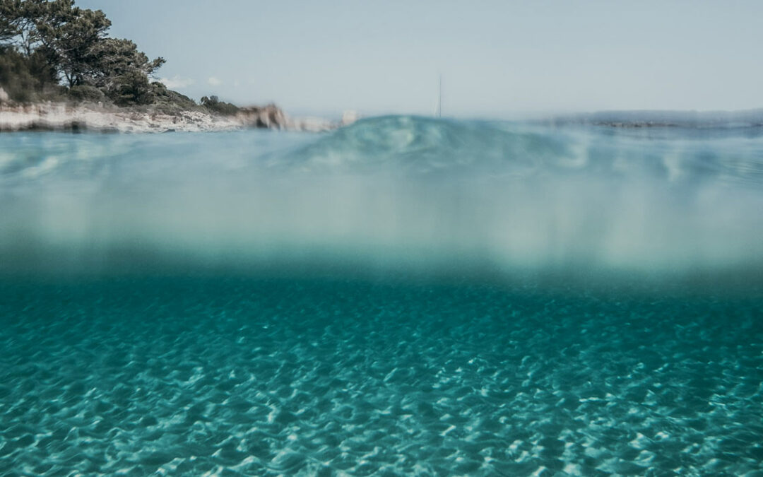 Biomarine Excursions in Sulcis-Iglesiente: Exploring the Underwater Wonders of Sardinia