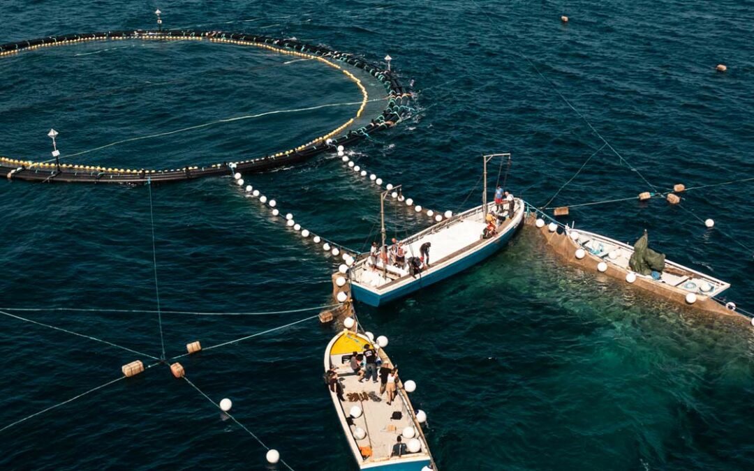 The Tuna Nets of Sulcis-Iglesiente: An Authentic Mediterranean Experience