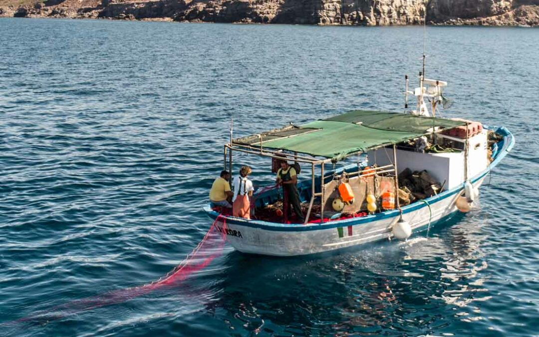 Pescaturismo e ittiturismo nel Sulcis-Iglesiente