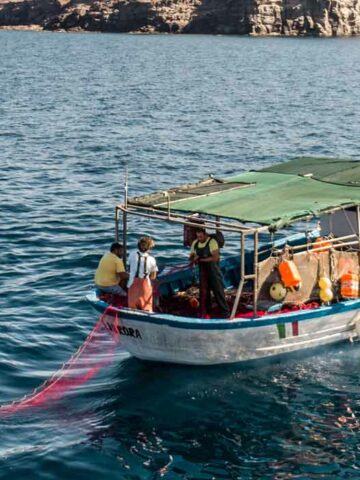 Pescaturismo e ittiturismo nel Sulcis-Iglesiente