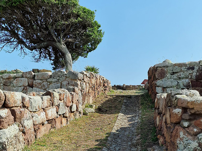 vista dell'area archeologica del Monte Sirai a Carbonia nel sud ovest Sardegna